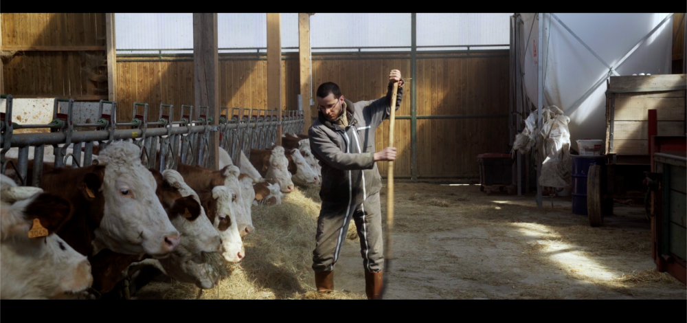 Cyrille, agriculteur, 30 ans, 20 vaches, du lait, du beurre, des dettes
